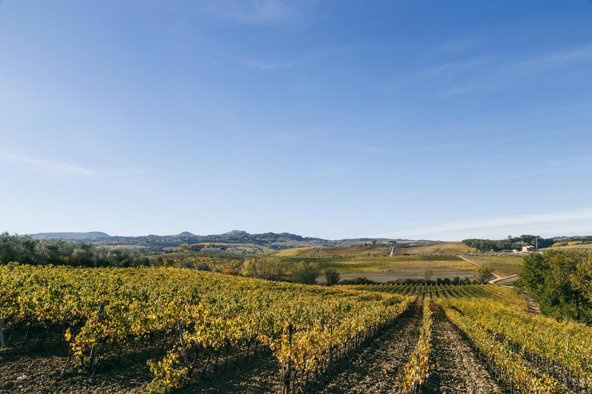 L'Orto Di Panza Bed & Breakfast Abbadia di Montepulciano Ngoại thất bức ảnh